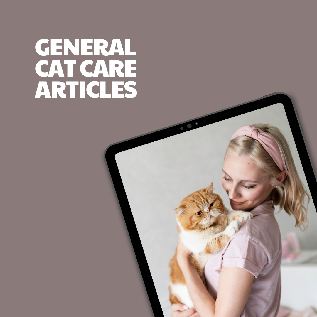 General Cat Care – 8 Pre-Written Articles