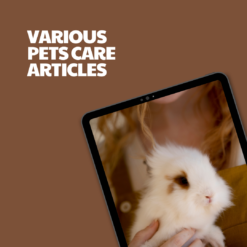 Various Pets Care – 12 Pre-Written Articles