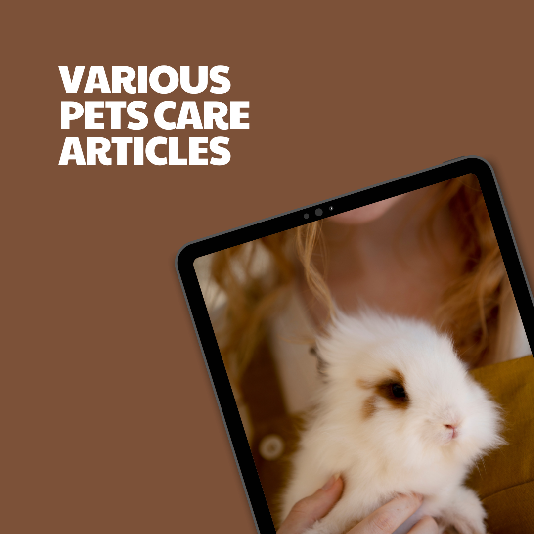 Various Pets Care – 12 Pre-Written Articles