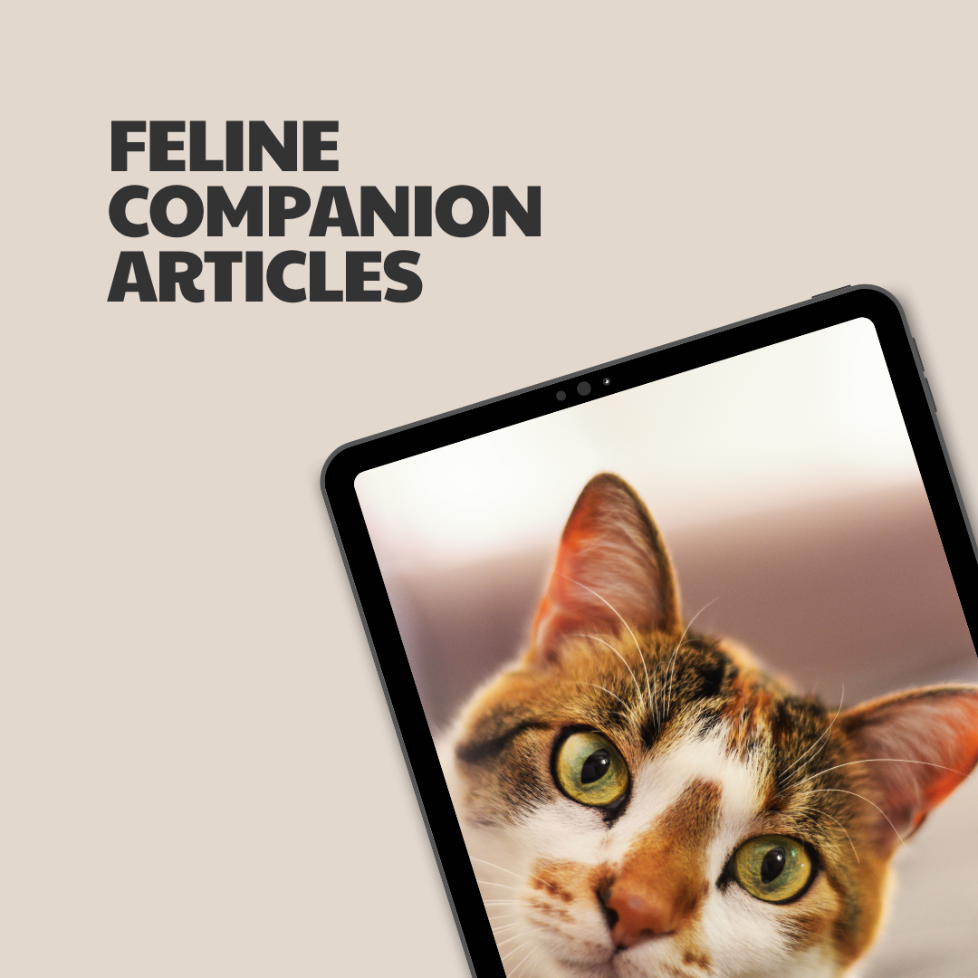 Feline Companion – 18 Pre-Written Articles